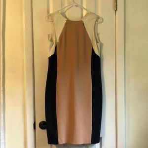 Ann Taylor dress